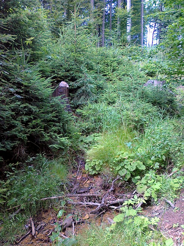pramen Nad Trkačem (7124)
