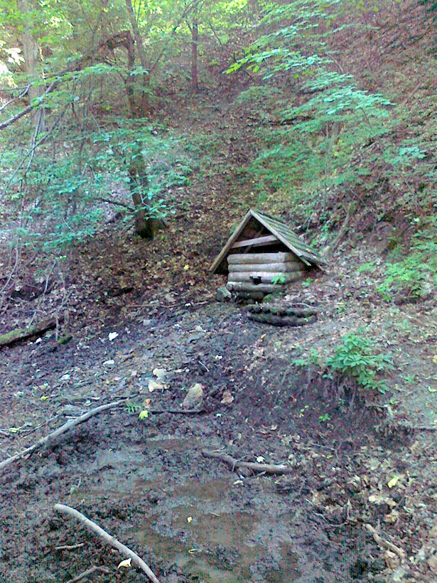 studánka Pod Mysliveckou chatou (7126)