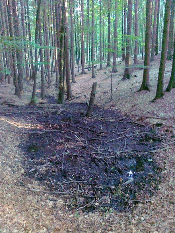 prameniště Na hranicích (7127)