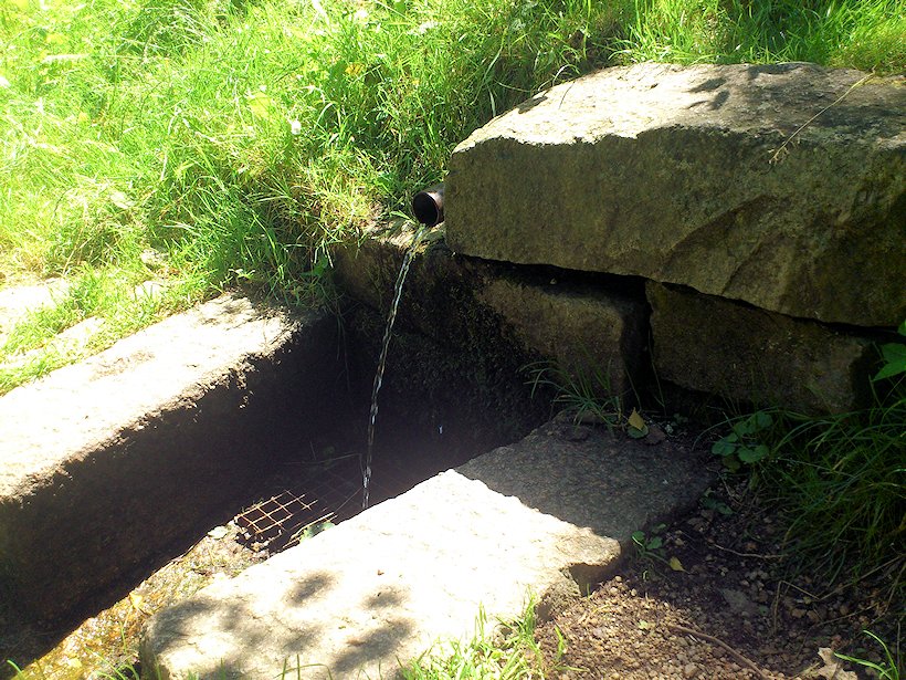 studánka bez jména (7129)