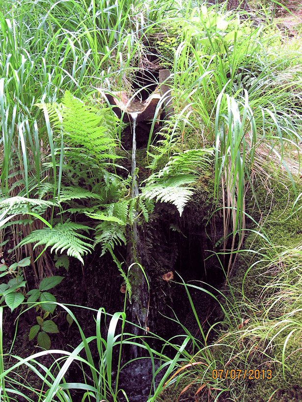 studánka Nad korytem (7131)