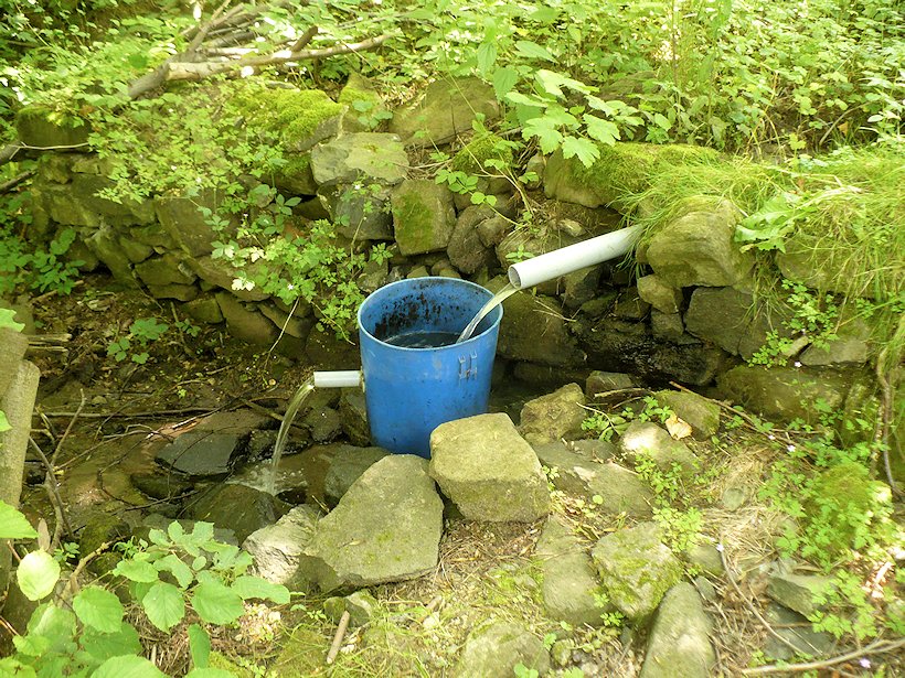 studánka bez jména (7144)
