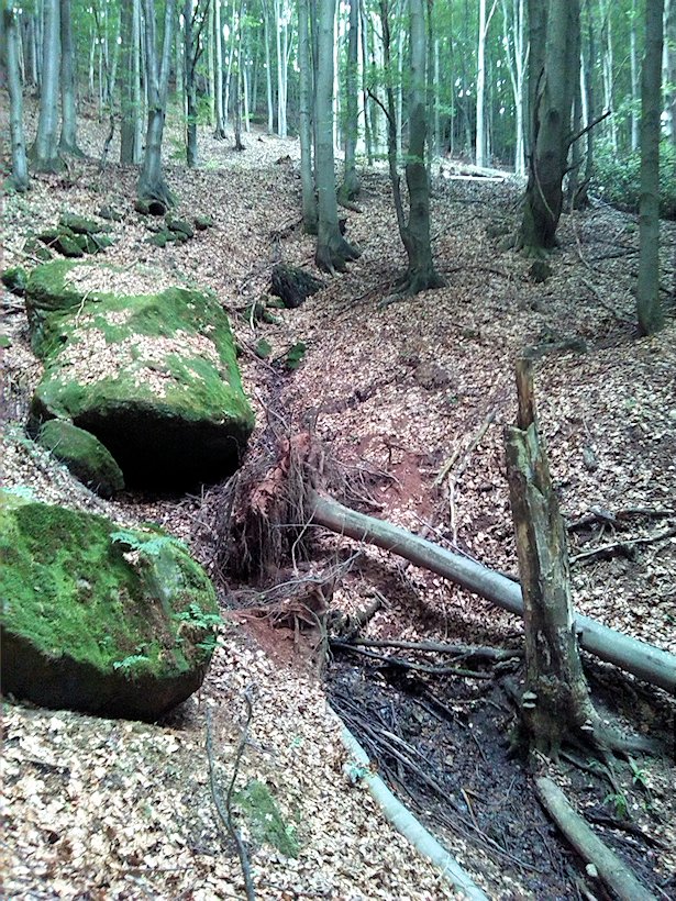 pramen Pod horní cestou (7146)