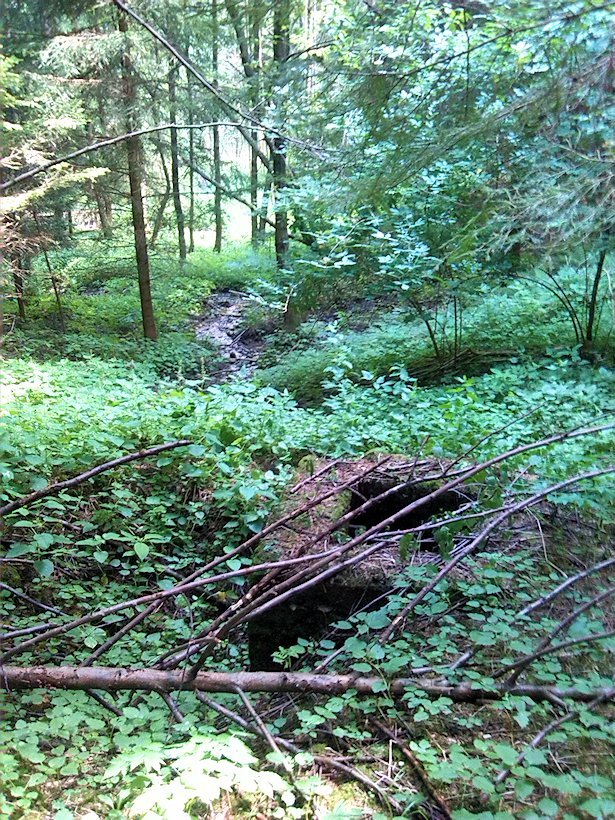studna Pramen Radiměřského potoka (7149)