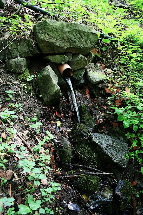 studánka Za Čupkou (7156)