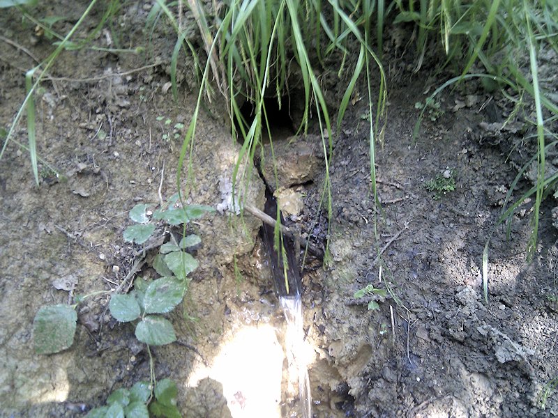 Hudyho studánka (7159)