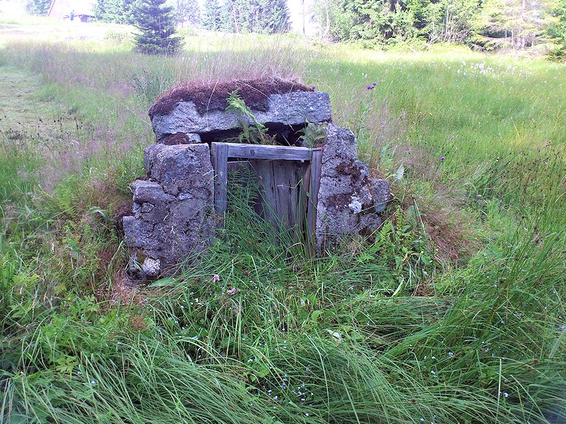 studánka bez jména (7165)