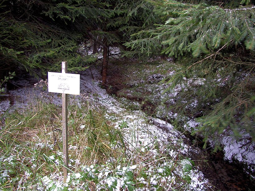 prameniště Hejlovka (Želivka) (7171)