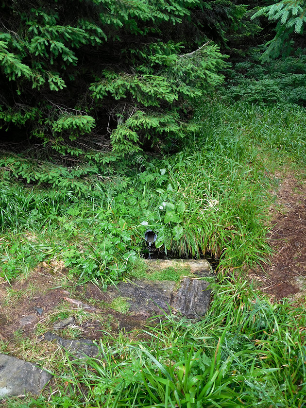 studánka Brousek (7193)