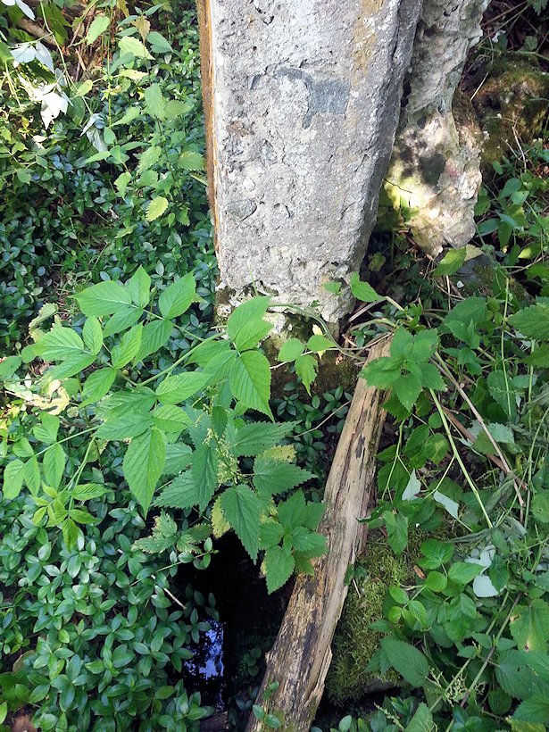 studánka Jäckelova (7201)