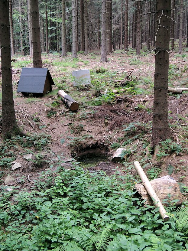 studánka bez jména (7207)