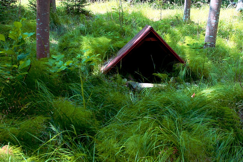 studánka bez jména (7214)