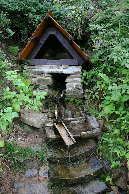 studánka U Hřiště (7218)