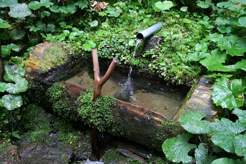 studánka V Rozsoší (7220)