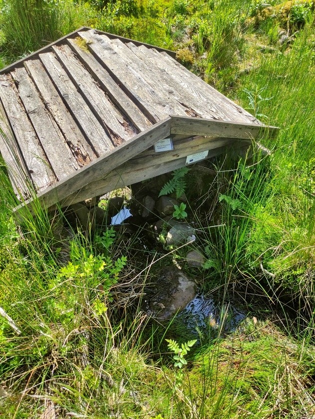 studánka Hrádecký vrch (7240)