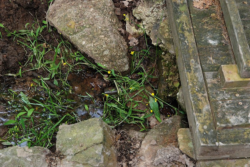studánka Nad Haldou (7241)
