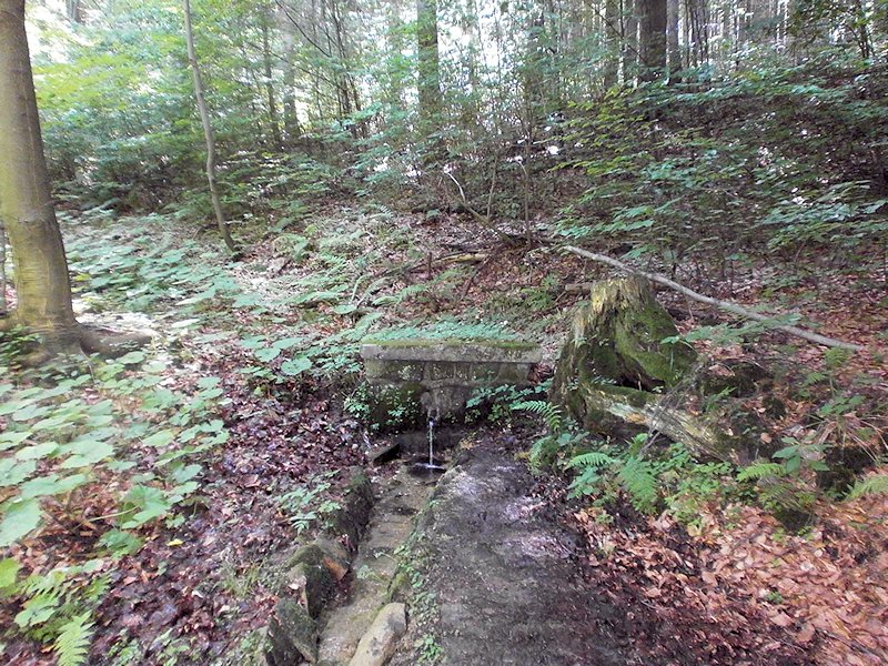 studánka bez jména (7249)