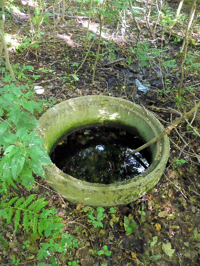 pramen Pod blatenským hřbitovem (7260)