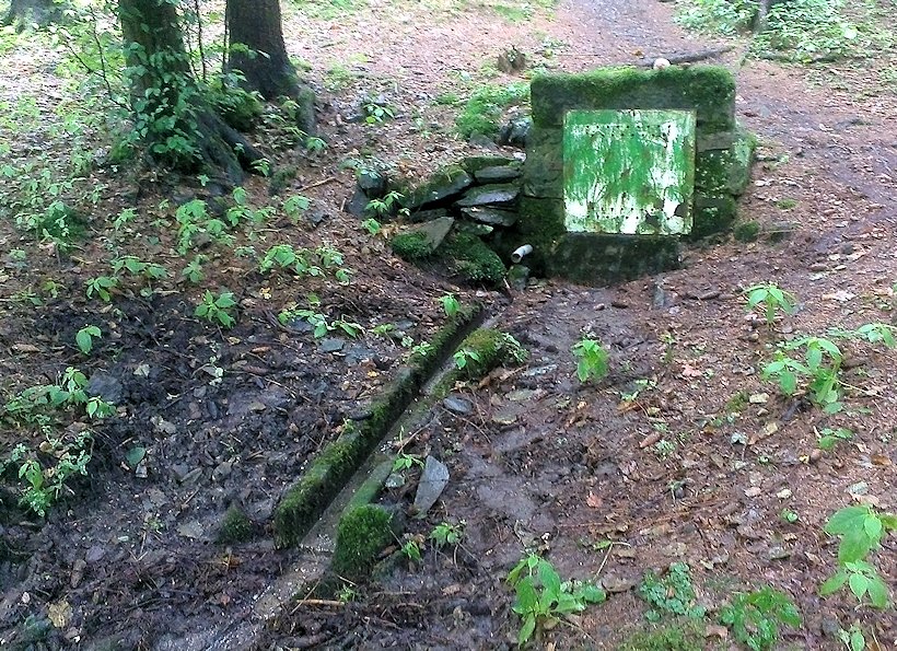 studánka bez jména (7268)