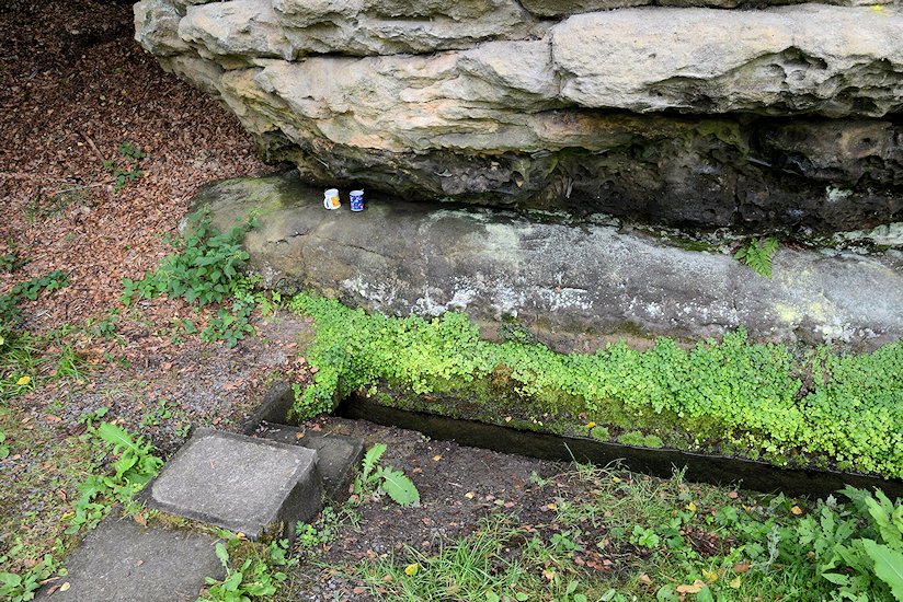 studánka bez jména (7304)