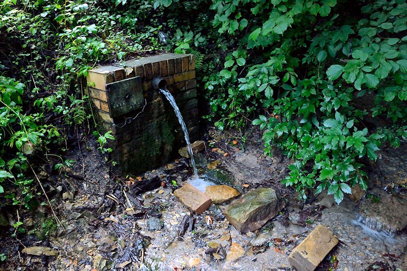 studánka Nad Litochovicemi (7305)