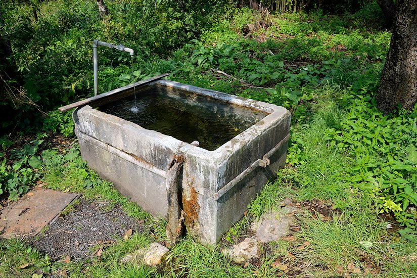 Obecní studánka Hrušovka (7306)