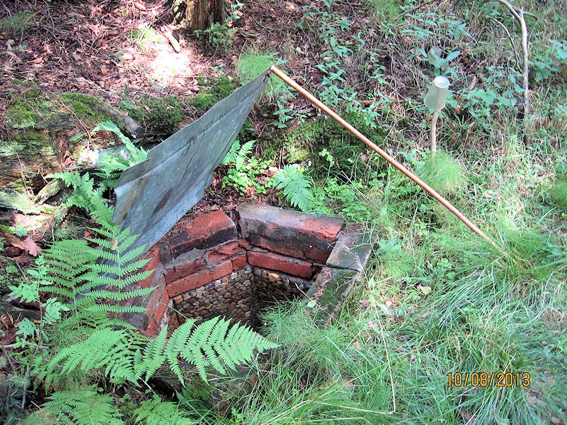 studánka U Brožkovy hájenky (7308)