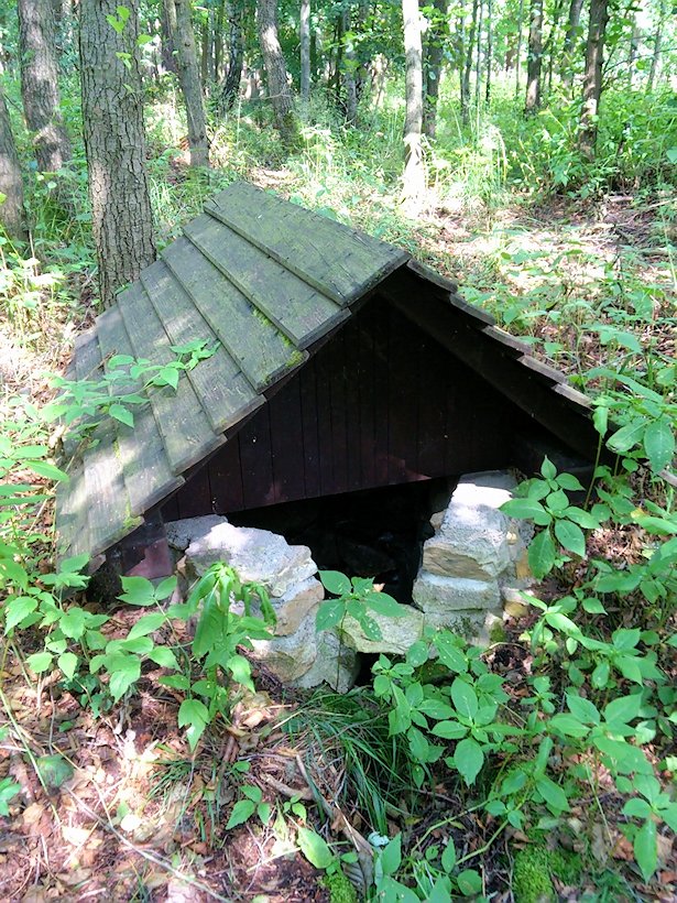 studánka bez jména (7311)