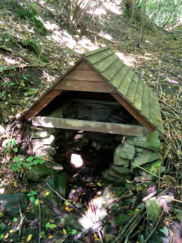 studánka bez jména (7315)