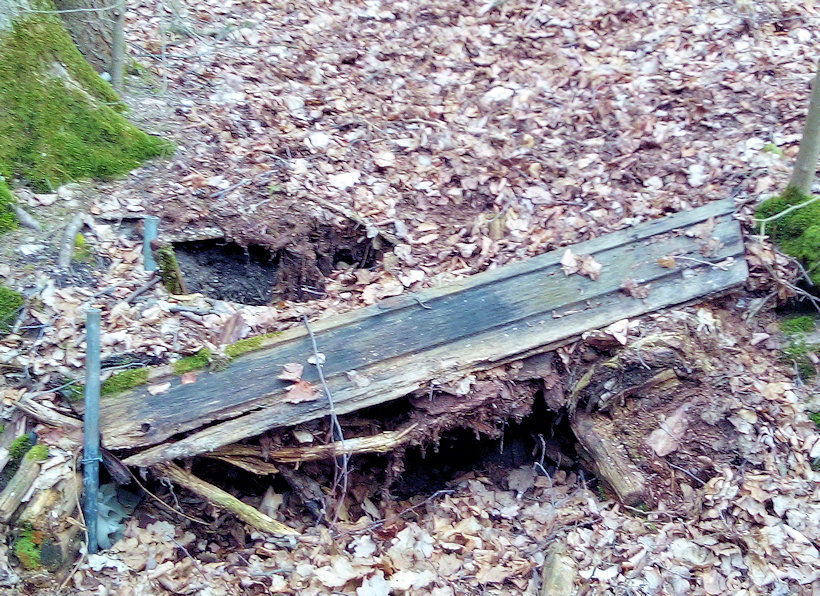 Svojsíkova studánka (7344)