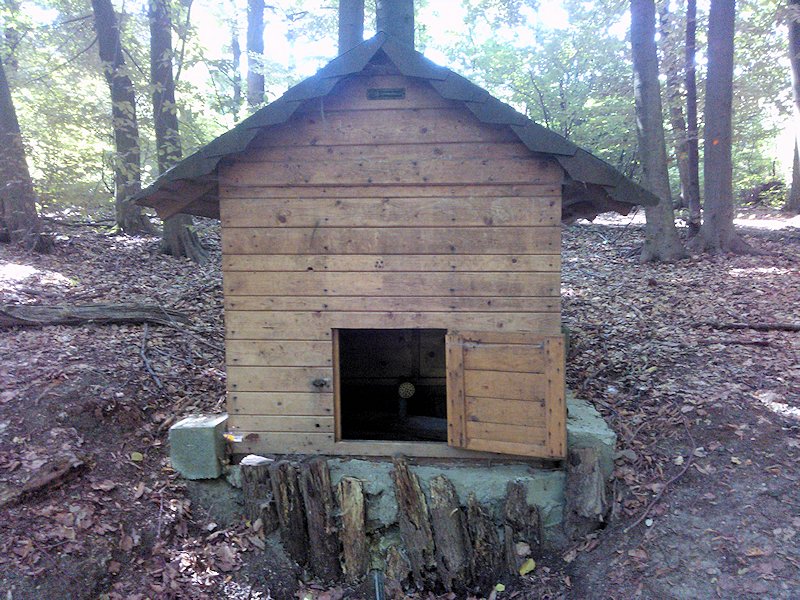 Patřínská studánka (7345)