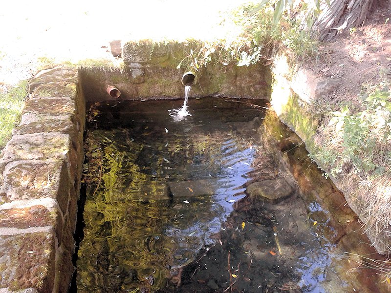 studánka bez jména (7347)