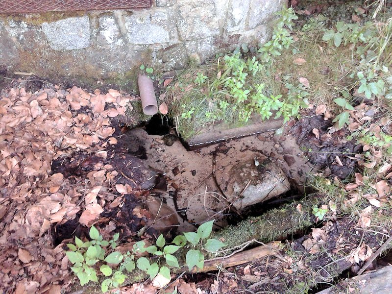 studánka bez jména (7348)