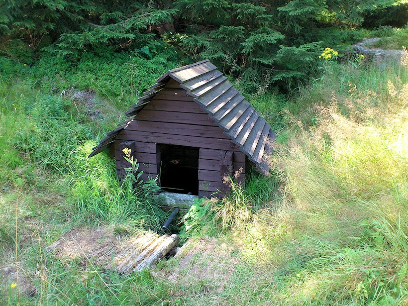 studánka bez jména (7352)