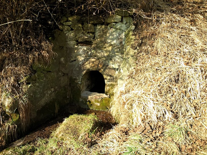 studánka bez jména (7356)