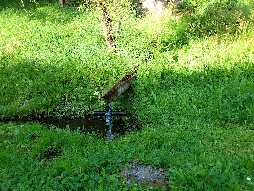 studánka bez jména (7360)
