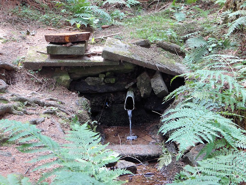 studánka V Kopaninách (7363)