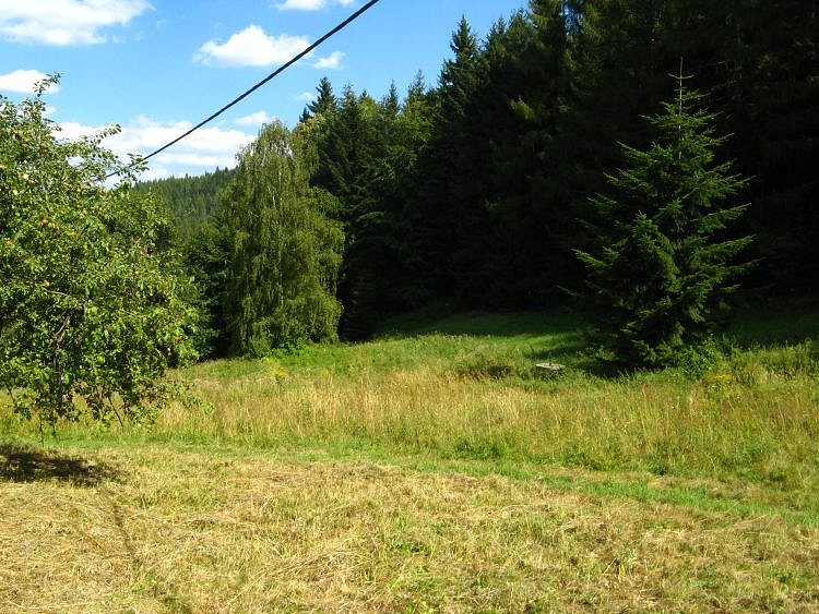 studna U lesa (7365)