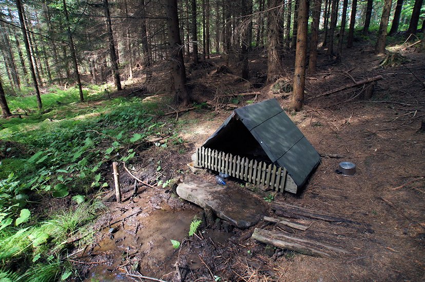 Pařezová studánka (7400)