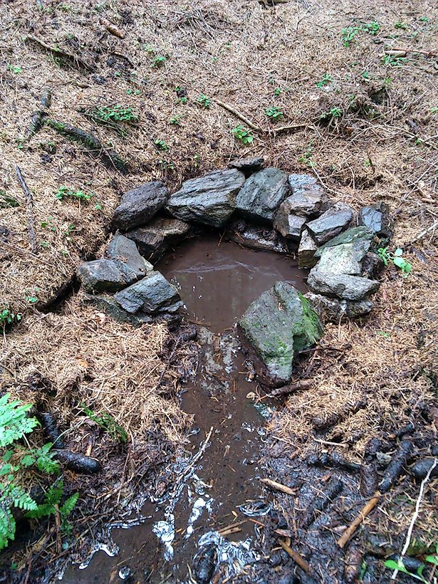 studánka Pod Mařenkou (7406)