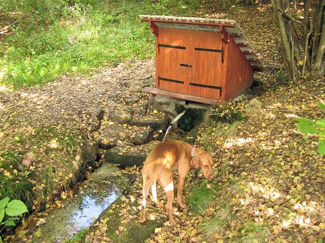 studánka bez jména (7410)