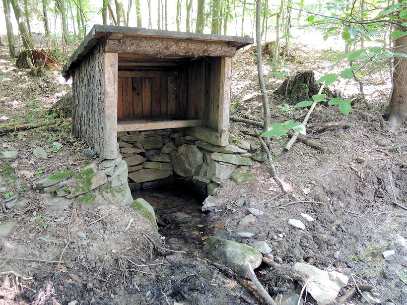 studánka bez jména (7422)
