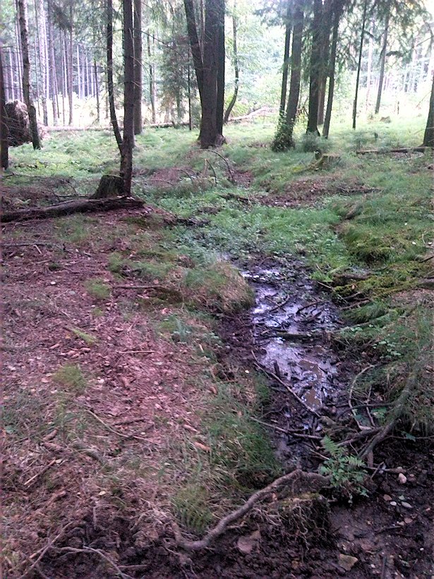 pramen Nad Antoníčkem (7438)