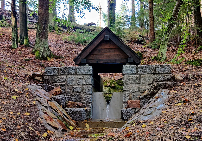 studánka V lese (7449)
