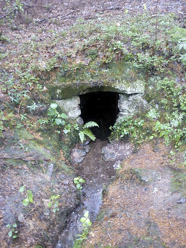 studánka Na Pohodnici (7450)