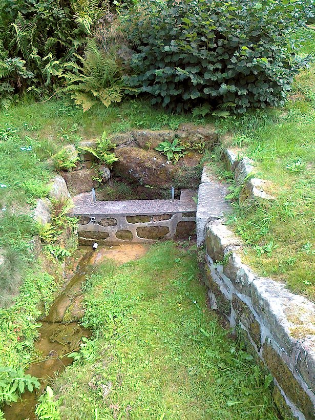 studánka bez jména (7453)