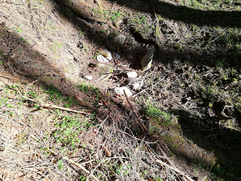 Studánka v Plánivách (7454)