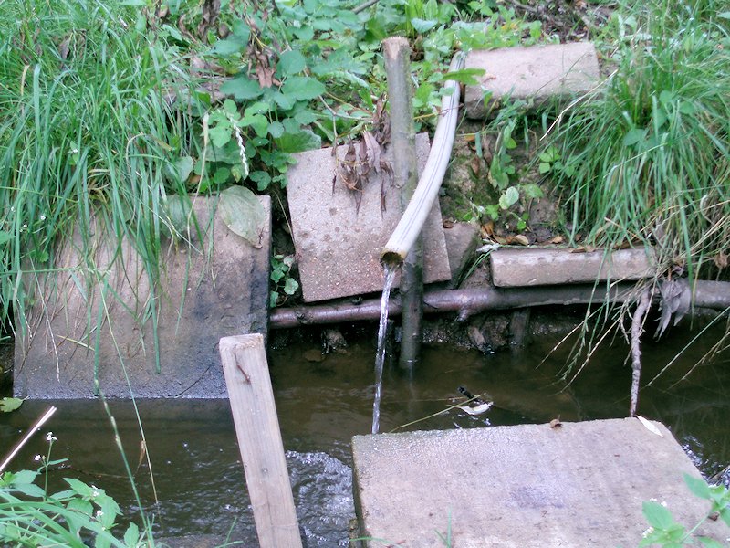 studánka bez jména (7463)