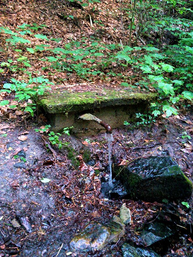 studánka Nad řekami (7468)