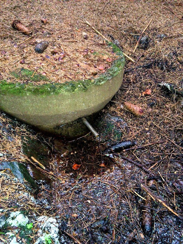 studánka Pod Zadní horou (7493)